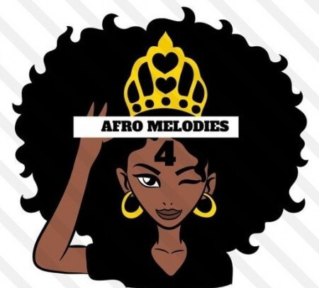 HOOKSHOW Afro Melodies 4 WAV